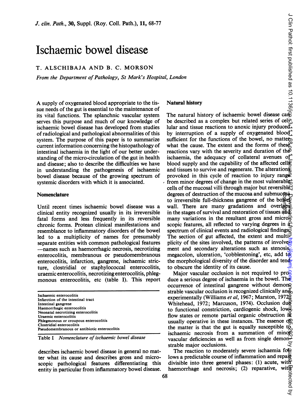 Ischaemic Bowel Disease