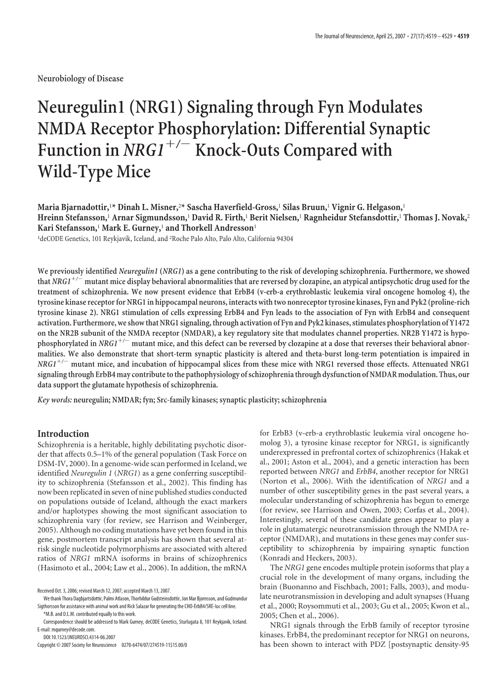 (NRG1) Signaling Through Fyn Modulates NMDA Receptor Phosphorylation: Differential Synaptic Function in Nrg1ϩ/Ϫ Knock-Outs Compared with Wild-Type Mice
