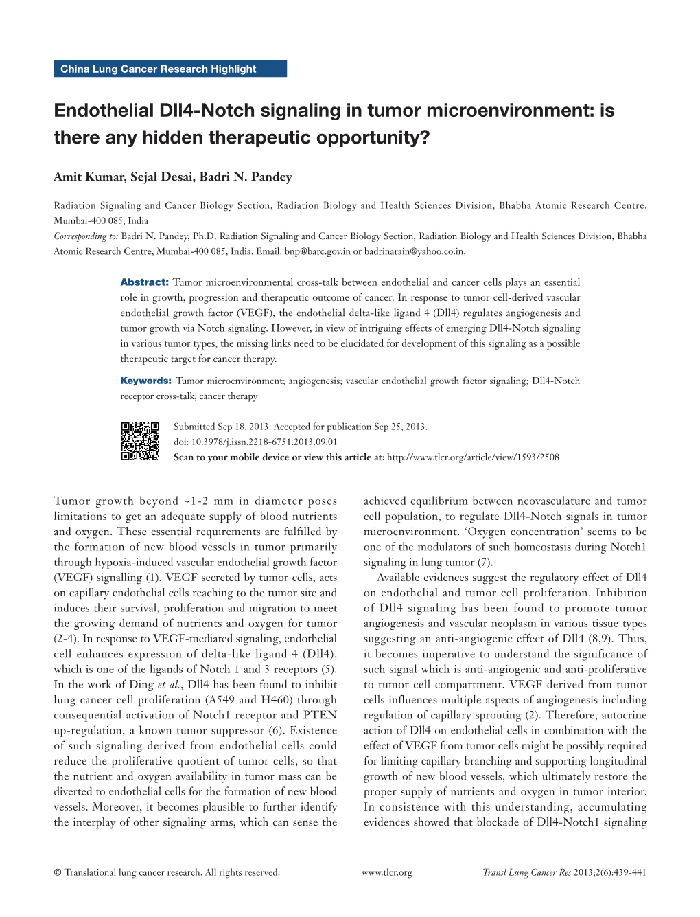 Endothelial Dll4-Notch Signaling in Tumor Microenvironment: Is There Any Hidden Therapeutic Opportunity?