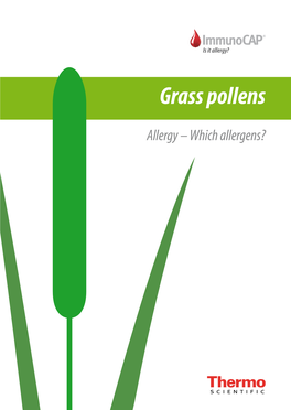 Grass Pollens