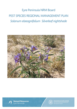 Eyre Peninsula NRM Board PEST SPECIES REGIONAL MANAGEMENT PLAN Solanum Elaeagnifolium Silverleaf Nightshade