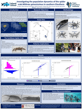 Investigating the Population Dynamics of the Spider Crab Mithrax