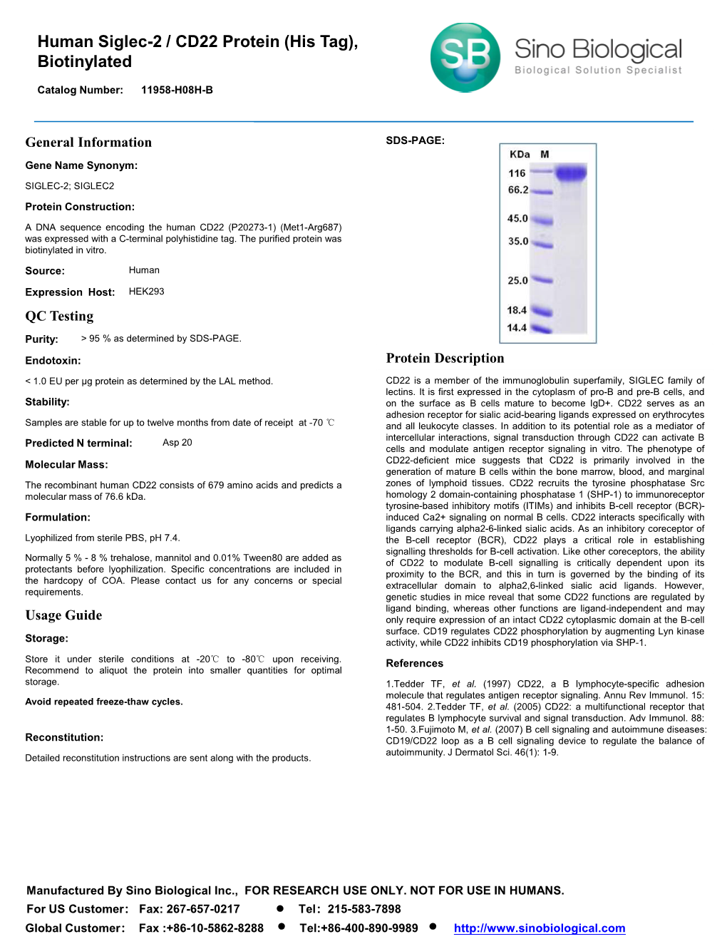 Human Siglec-2 / CD22 Protein (His Tag), Biotinylated