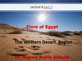The Western Desert Region