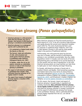 American Ginseng (Panax Quinquefolius)