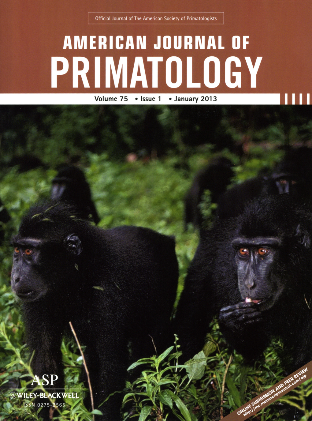 RESEARCH ARTICLE Long-Term Population Survey of the Sulawesi Black Macaques (Macaca Nigra) at Tangkoko Nature Reserve, North Sulawesi, Indonesia