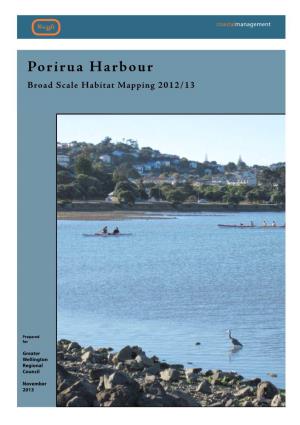 Porirua Harbour Broad Scale Habitat Mapping 2012/13