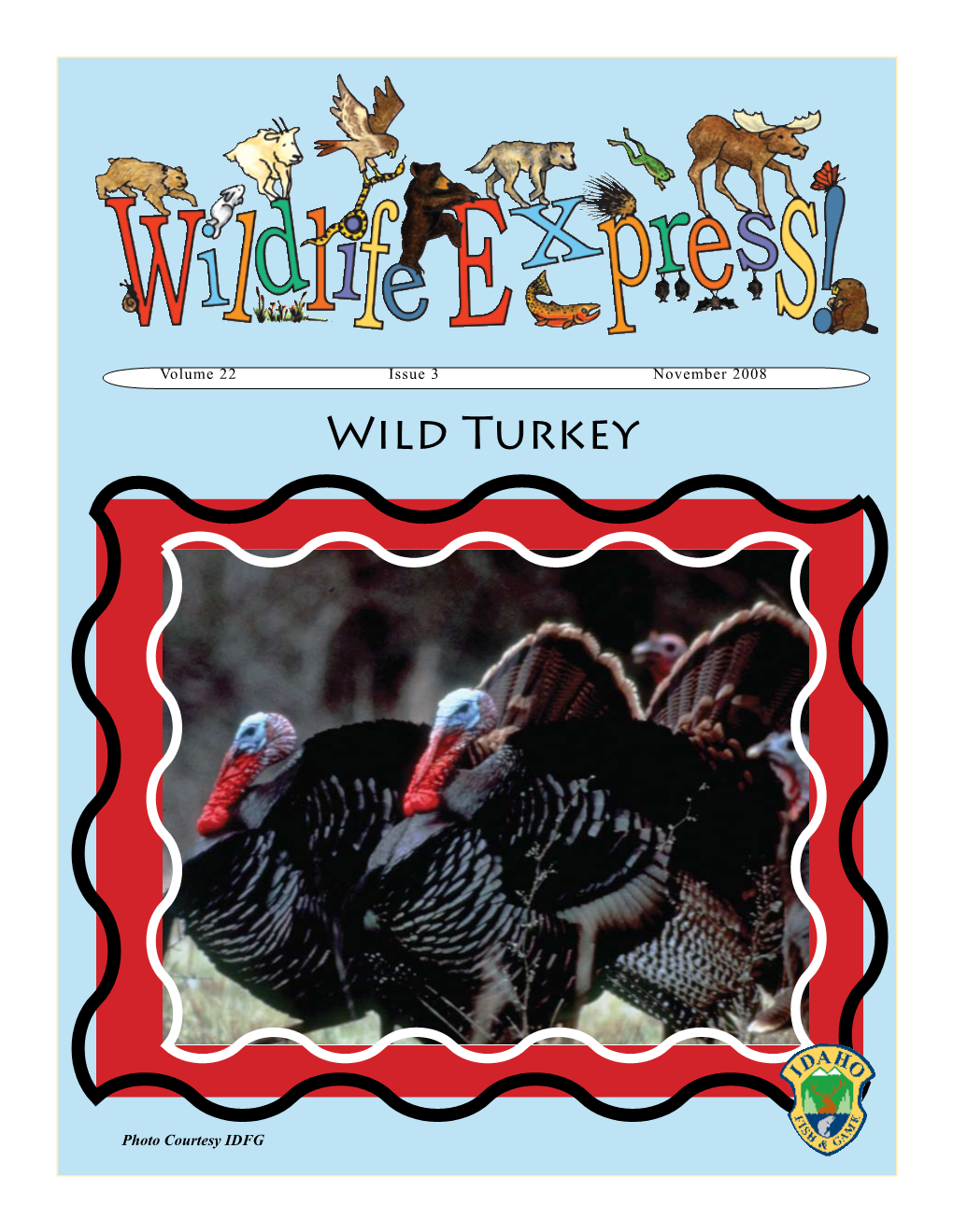 Wild Turkeys That Lived in Mexico