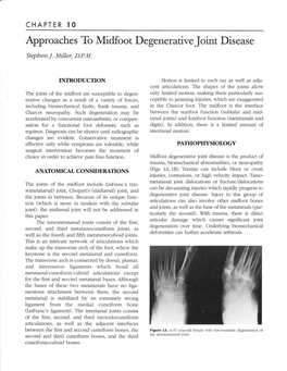 Approaches to Midfoot Degenerative Joint Disease Stepben J