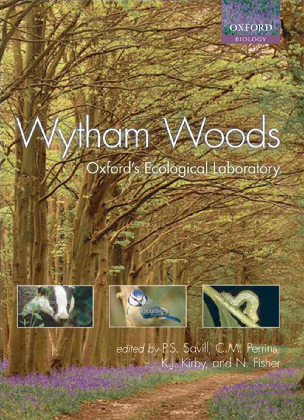 Wytham Woods Oxford's Ecological Laboratory