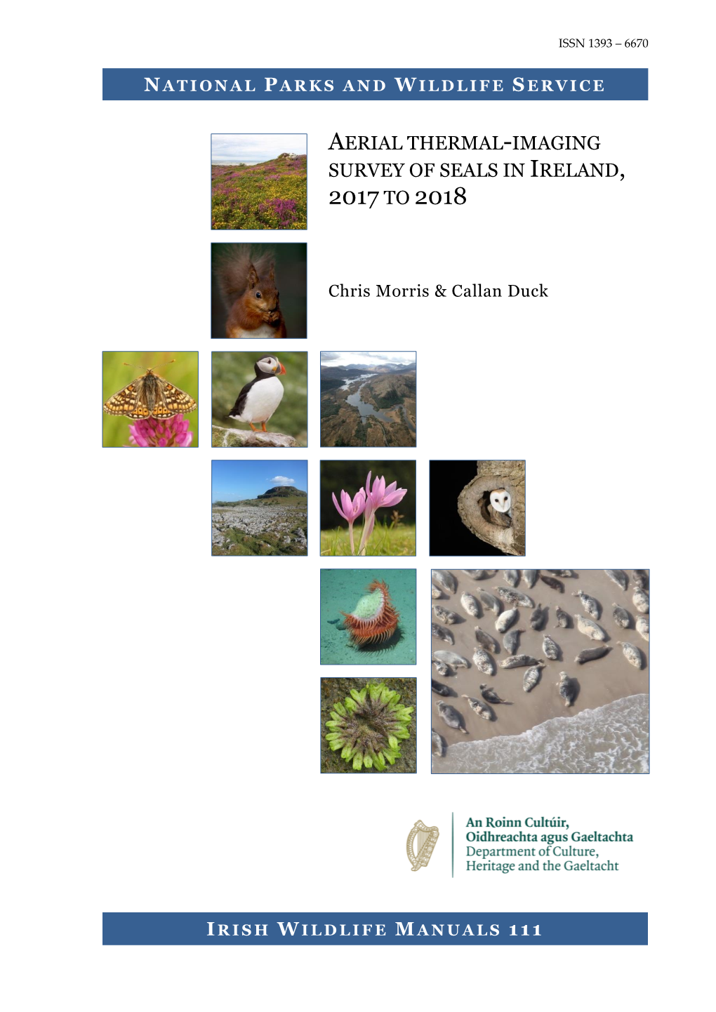 Irish Wildlife Manuals No. 111, Aerial