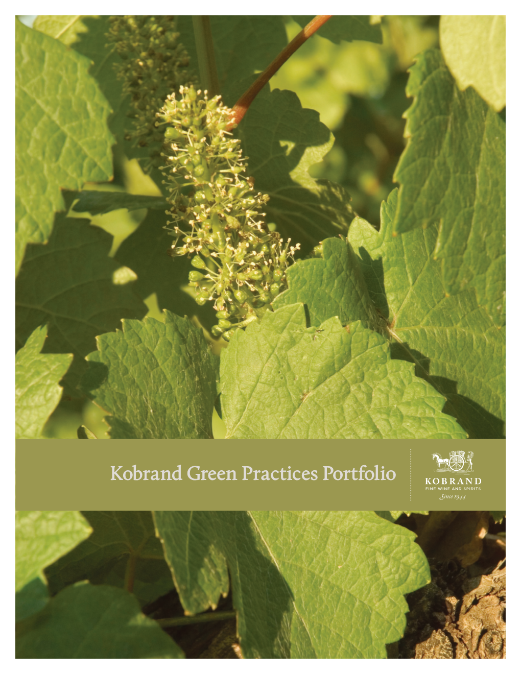 Kobrand Green Practices Portfolio KOBRAND GREEN PRACTICES PORTFOLIO