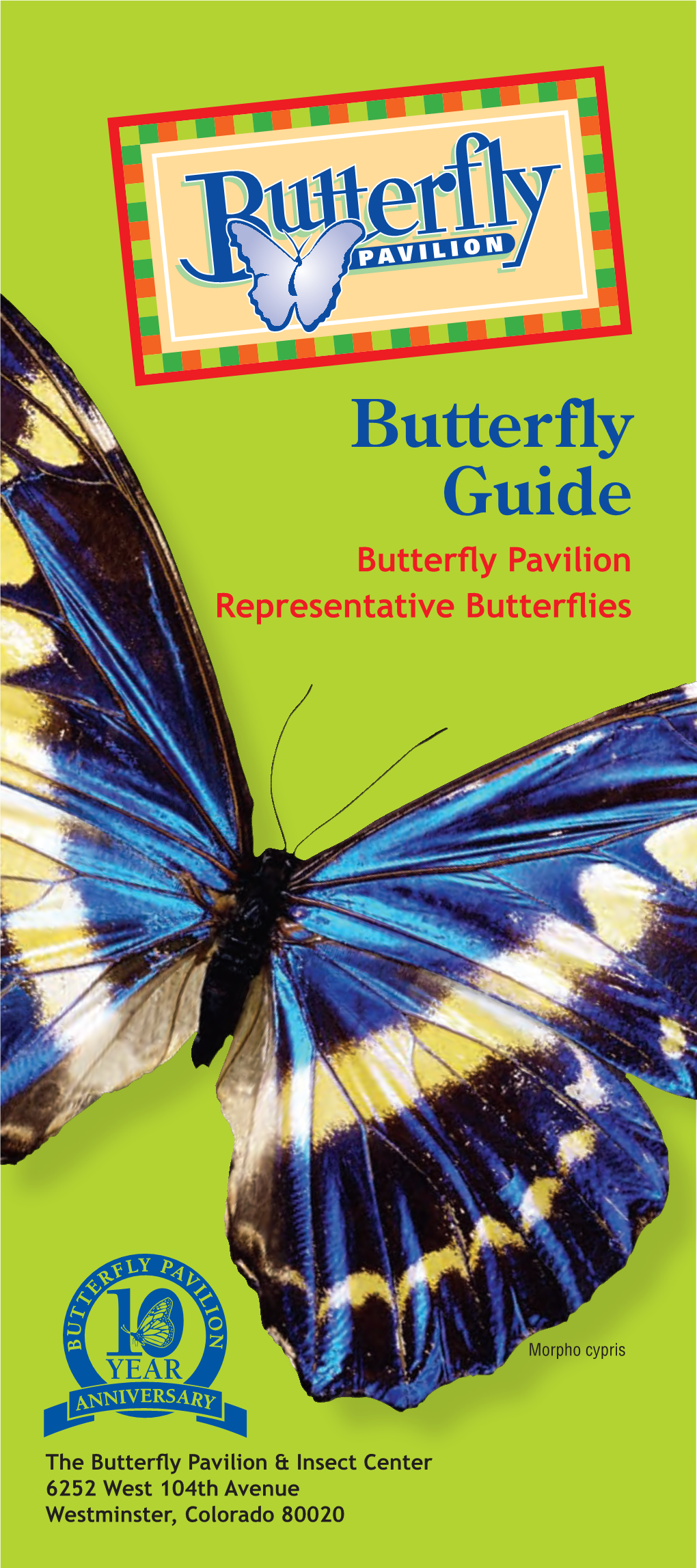 Butterfly Guide