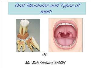 Oral Structure, Dental Anatomy, Eruption, Periodontium and Oral