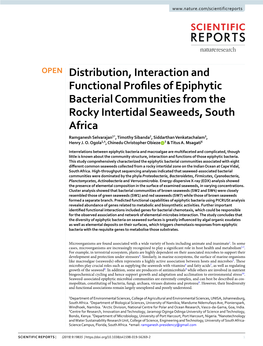 Distribution, Interaction and Functional Profiles of Epiphytic Bacterial