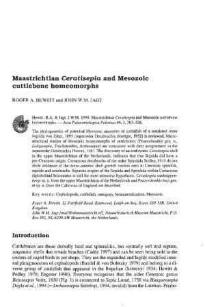 Maastrichtian Ceratisepia and Mesozoic Cuttlebone Homeomorphs