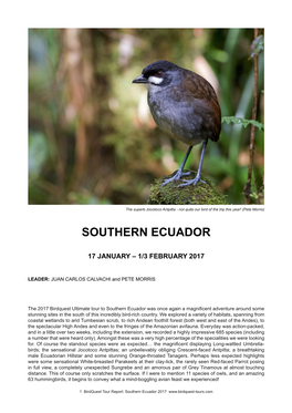Southern Ecuador Tour Report 2017