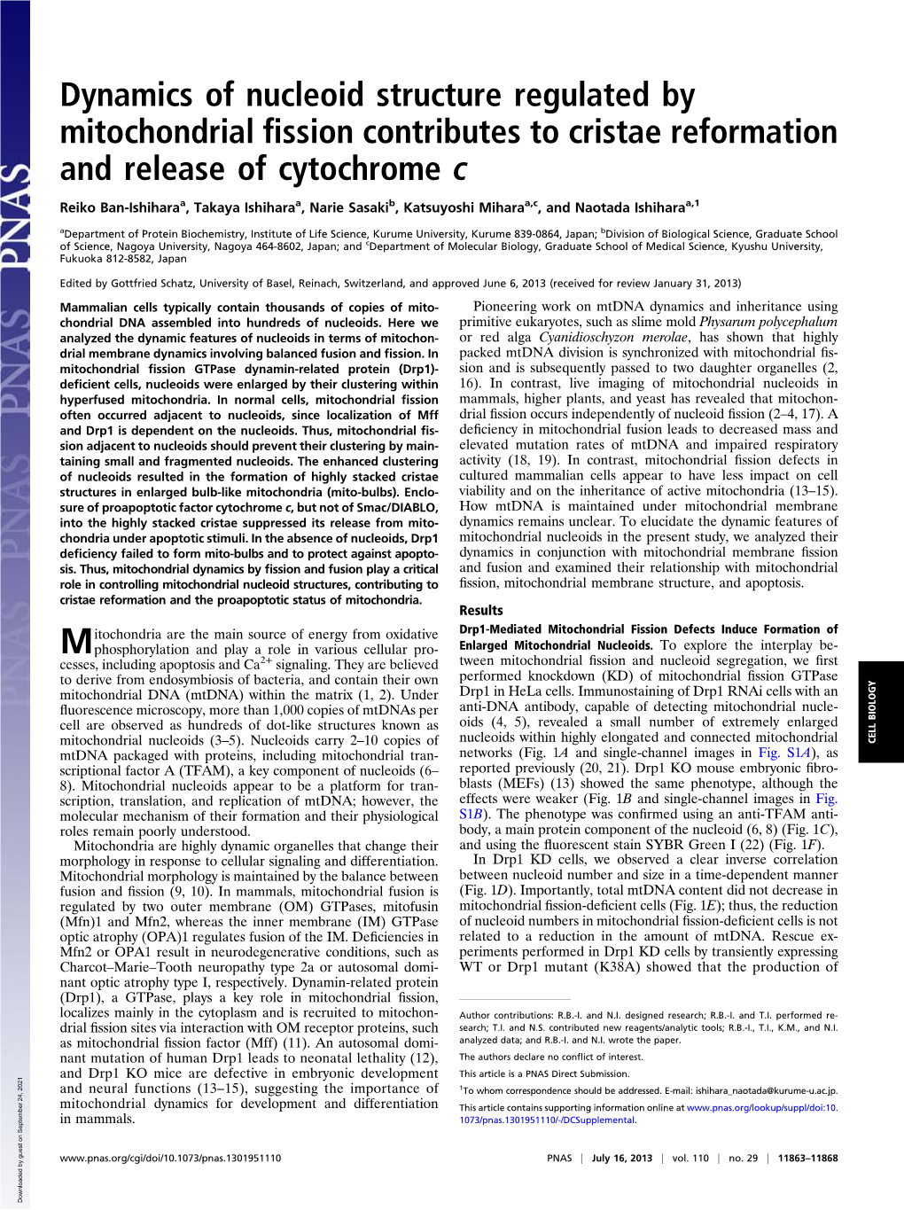 Dynamics of Nucleoid Structure Regulated by Mitochondrial Fission