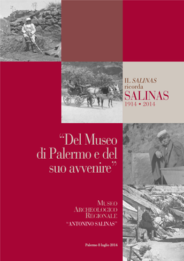 “DEL MUSEO DI PALERMO E DEL SUO AVVENIRE” D S U I