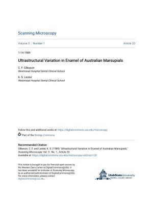 Ultrastructural Variation in Enamel of Australian Marsupials