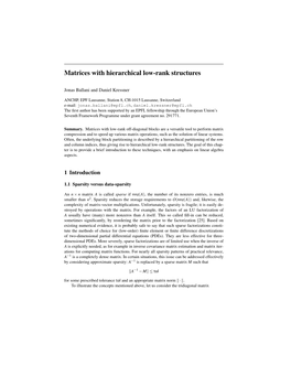 Matrices with Hierarchical Low-Rank Structures