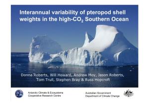Interannual Variability of Pteropod Shell Weights in the High-CO2 Southern Ocean