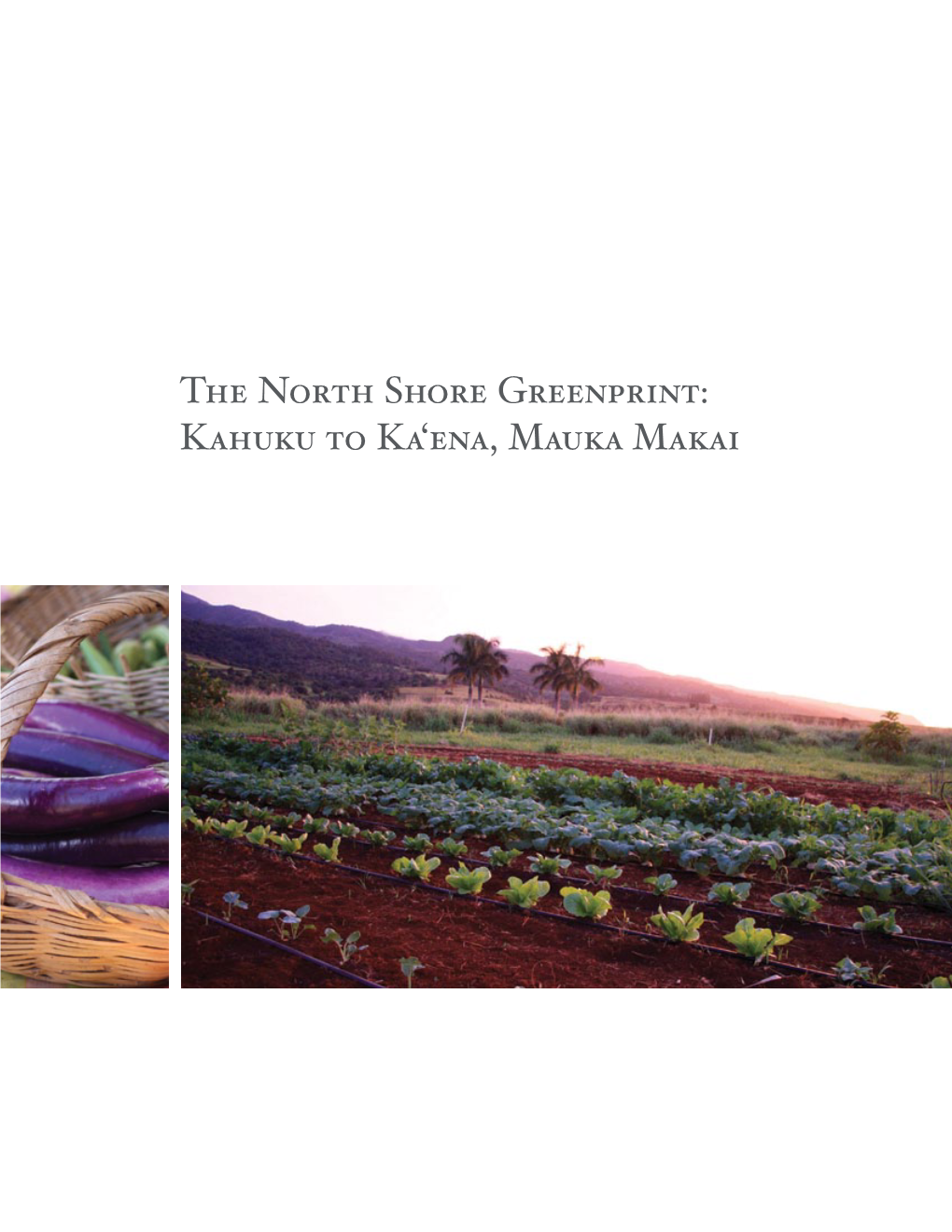The North Shore Greenprint: Kahuku to Ka'ena, Mauka Makai
