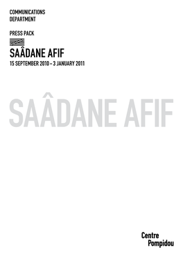 Saâdane Afif, Winner of the 2009 Marcel Duchamp Prize at The