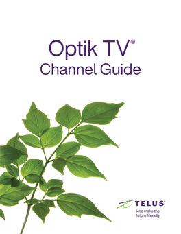 Optik TV Channel Guide