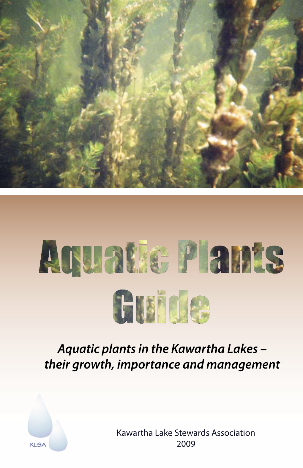 Aquatic Plants in the Kawartha Lakes – Their Growth, Importance and Management