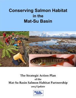 Mat-Su Salmon Strategic Action Plan 2013
