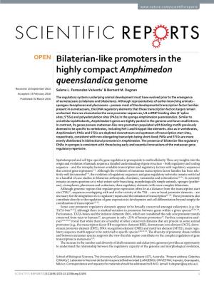 Bilaterian-Like Promoters in the Highly Compact Amphimedon Queenslandica Genome Received: 23 September 2015 Selene L