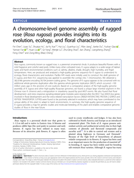 A Chromosome-Level Genome Assembly of Rugged Rose