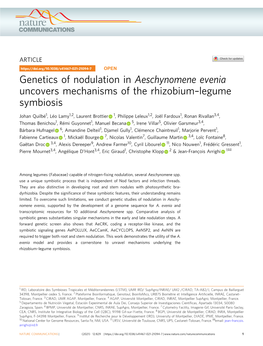 Genetics of Nodulation in Aeschynomene Evenia Uncovers Mechanisms of the Rhizobium–Legume Symbiosis