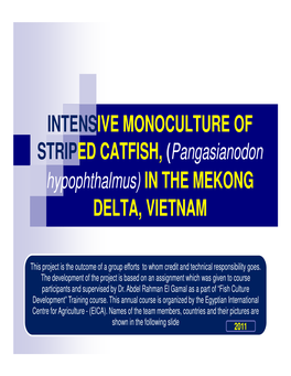 Intensive Monoculture of Delta, Vietnam