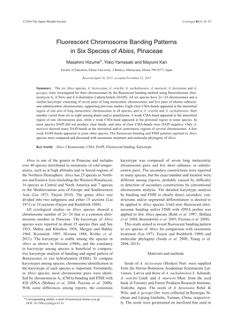 Fluorescent Chromosome Banding Patterns in Six Species of Abies, Pinaceae