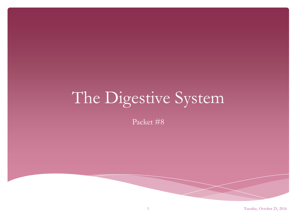 The Digestive System