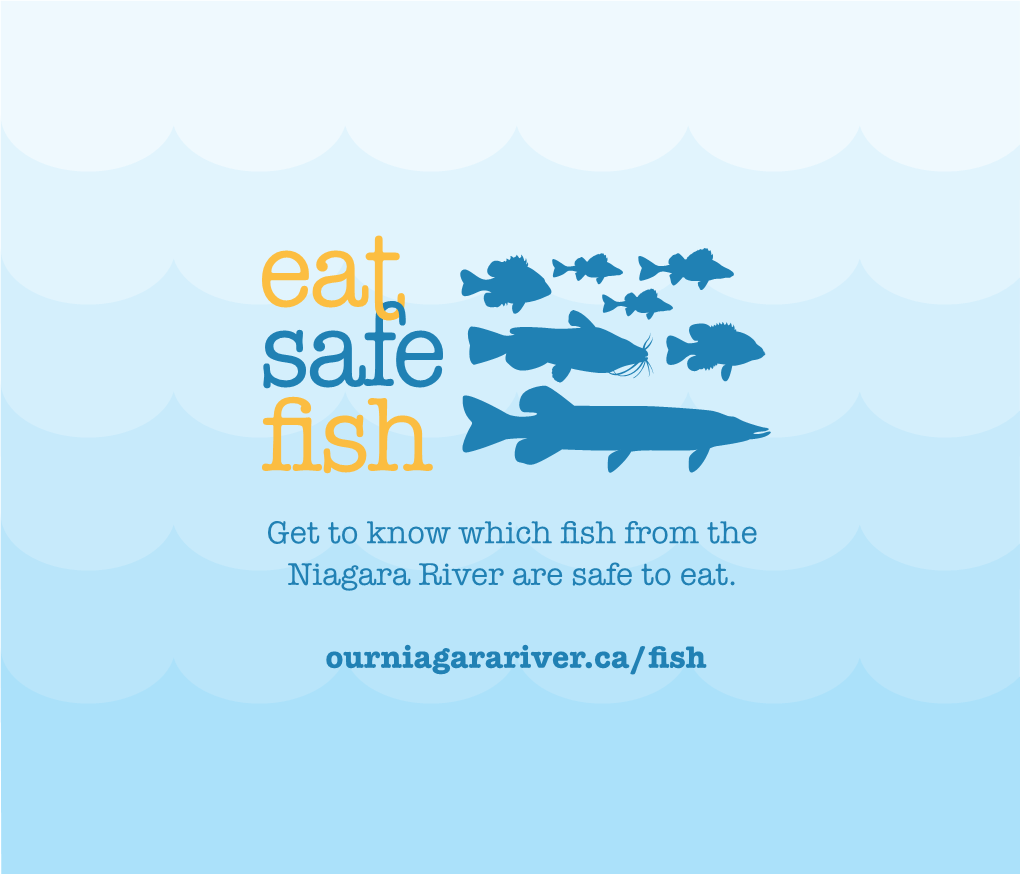 Eat Safe Fish Booklet