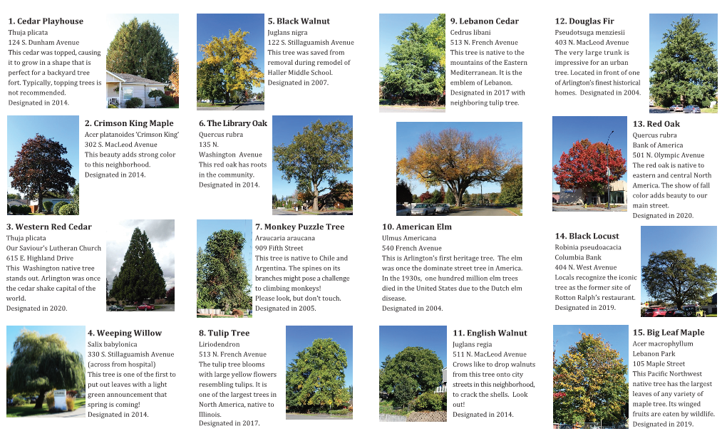 Arlington Tree Walk