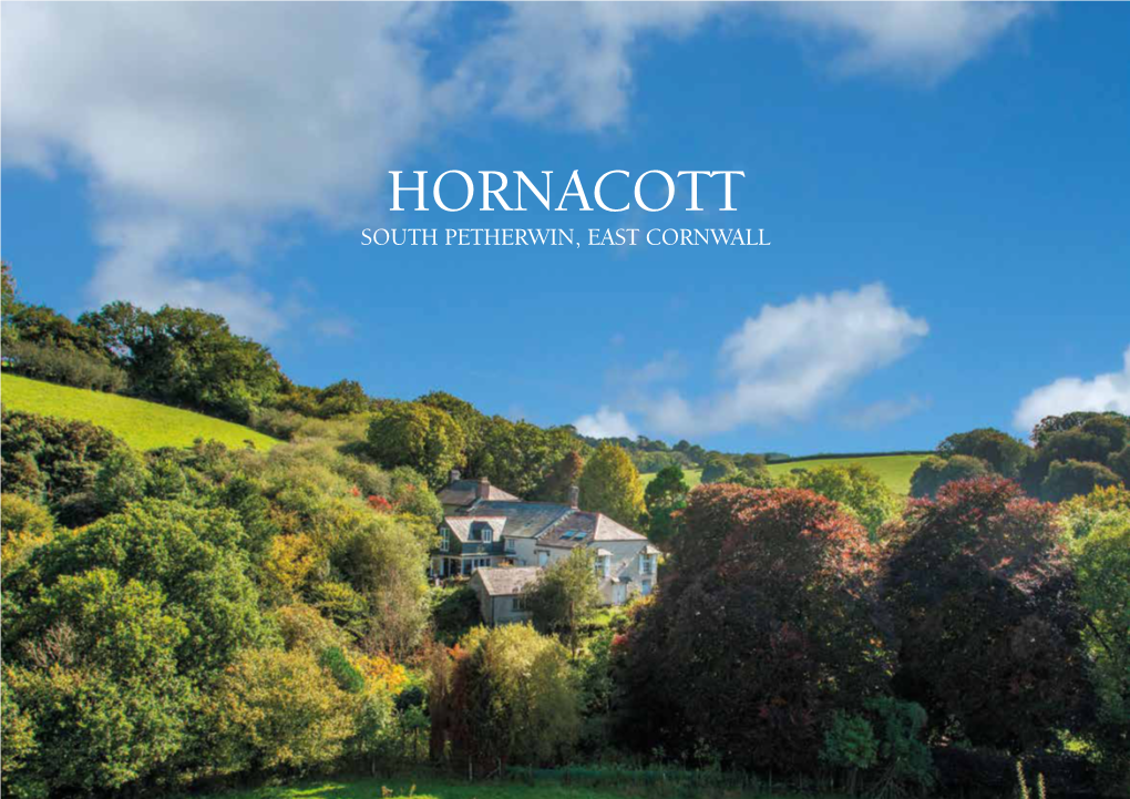 HORNACOTT SOUTH PETHERWIN, EAST CORNWALL Hornacott South Petherwin, Launceston, Cornwall PL15 7LH