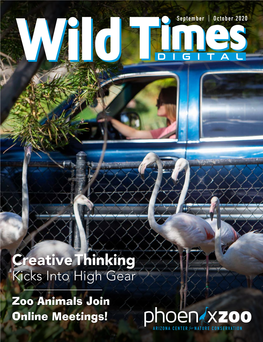 Creative Thinking Kicks Into High Gear