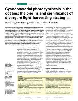 Cyanobacterial Photosynthesis in the Oceans: the Origins and Significance of Divergent Light-Harvesting Strategies