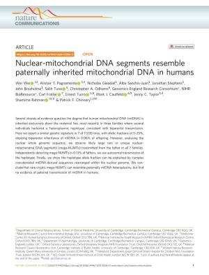 Nuclear-Mitochondrial DNA Segments Resemble Paternally Inherited Mitochondrial DNA in Humans
