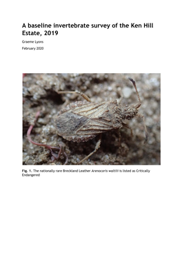 A Baseline Invertebrate Survey of the Ken Hill Estate, 2019