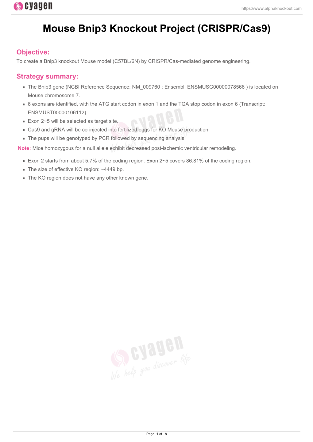 Mouse Bnip3 Knockout Project (CRISPR/Cas9)