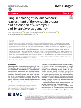 Fungi Inhabiting Attine Ant Colonies: Reassessment of the Genus Escovopsis and Description of Luteomyces and Sympodiorosea Gens
