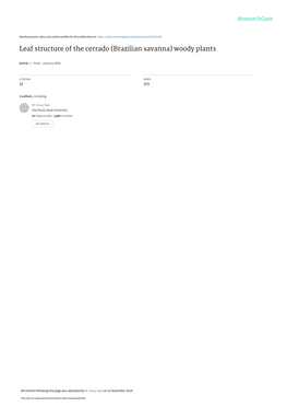 Leaf Structure of the Cerrado (Brazilian Savanna) Woody Plants