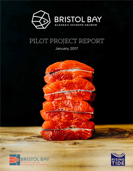 PILOT PROJECT REPORT January 2017