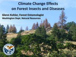 Climate Change Effects on Forest Insects and Diseases Glenn Kohler, Forest Entomologist Washington Dept