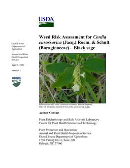 Weed Risk Assessment for Cordia Curassavica (Jacq.) Roem. & Schult. (Boraginaceae) – Black Sage